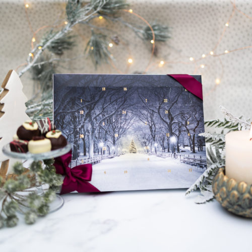 Snow In The Park Advent Calendar Cover 2022