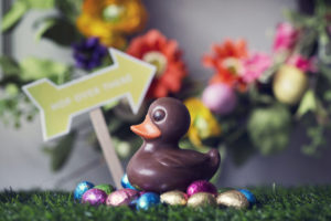 Chocolate Duckling