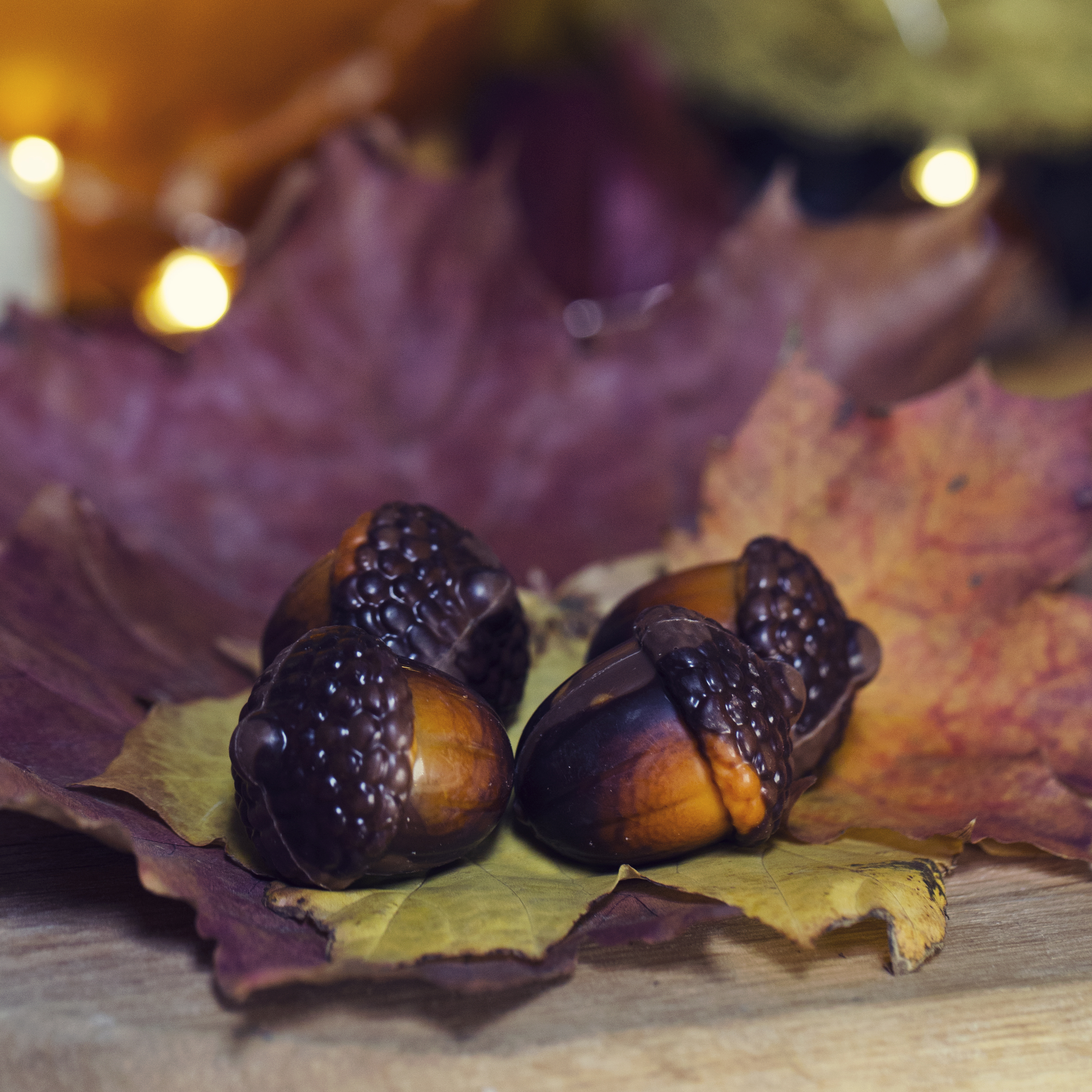 Praline Acorn Group