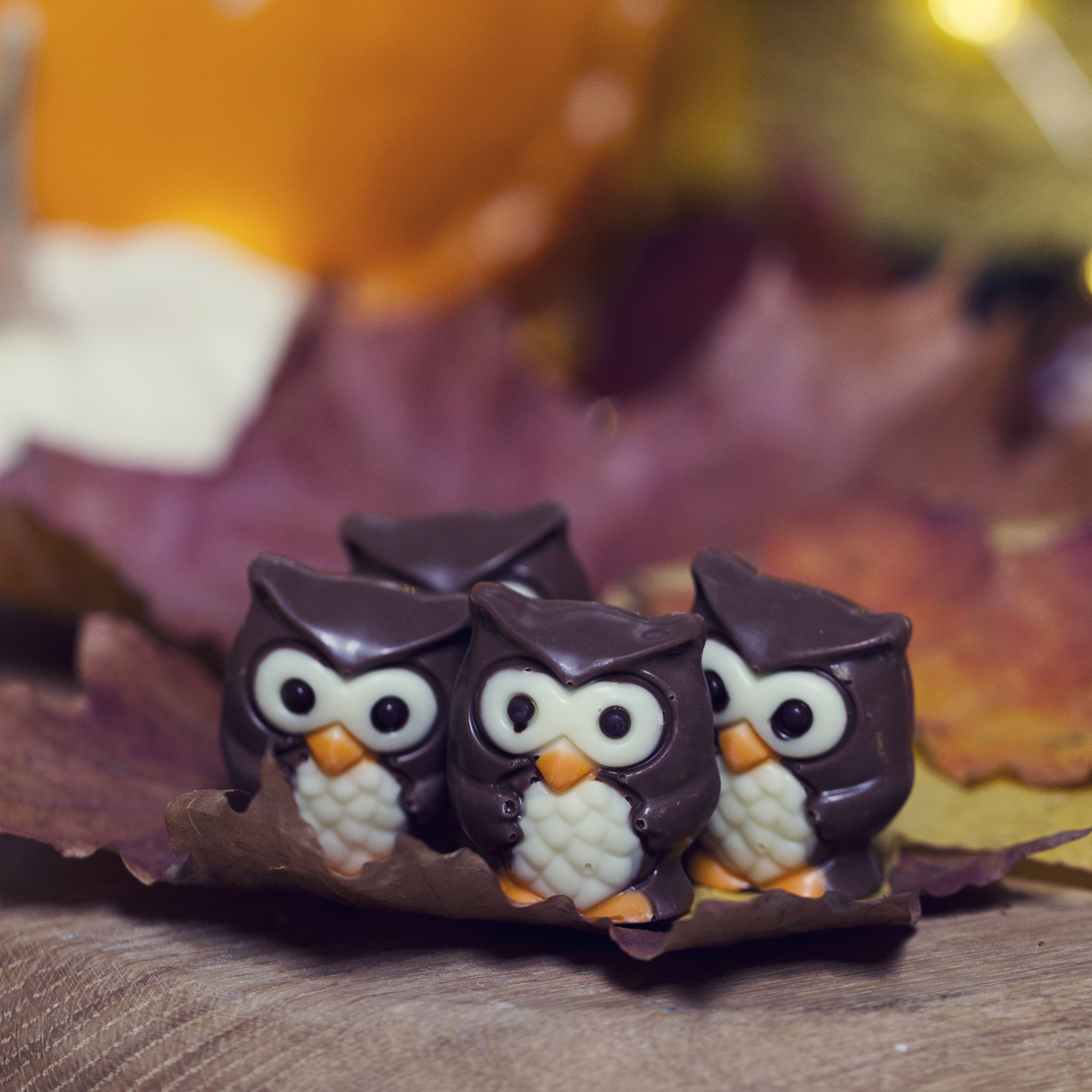 Praline Owl