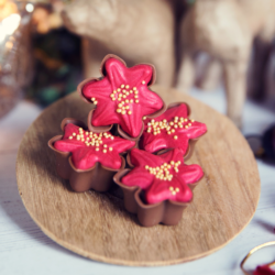 Poinsettia Praline