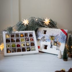 Deer In The Snow Advent Calendar 2025