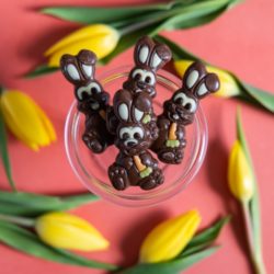 Milk Chocolate Bunnies Gift Bag