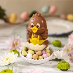 Chocolate Hatching Chick